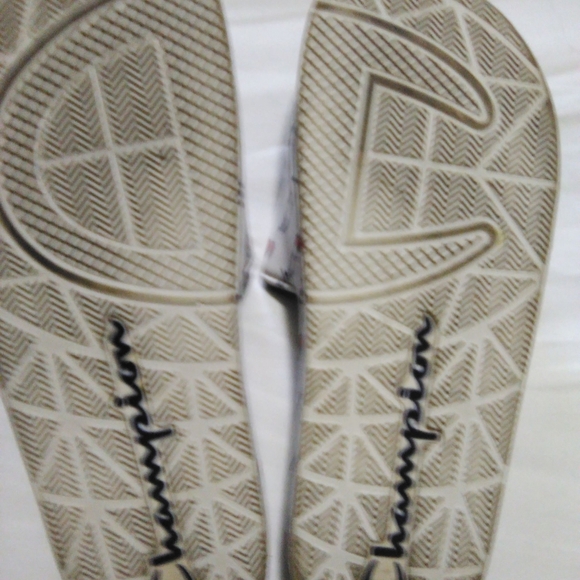 Champion Slides - Picture 2 of 2